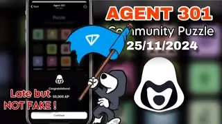 Agent 301 - 25/11/2024 Puzzle today | Community Puzzle Agent 301 solved