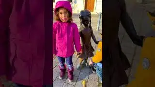 La Alba Iulia Rom&acirc;nia #shorts by Melimi