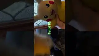 Pikachu vs dog man ( my versions) #plush #wis #vsedit #pokemon #dogman #superkombatplush