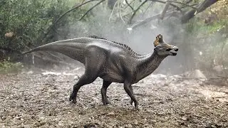 Amurosaurus