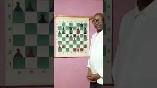 Brilliant chess Tactics#training