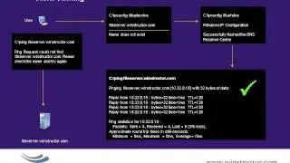 21   DNS Resolution