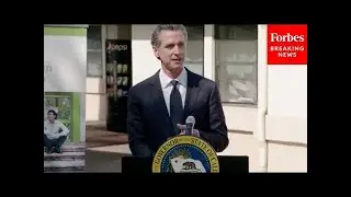 California Gov. Gavin Newsom Signs Landmark Climate Legislation Into Law