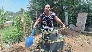 My daily routine African village life 