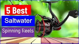 Top 5 Best Saltwater Spinning Reels in 2025 | Best Spinning Reels - Review