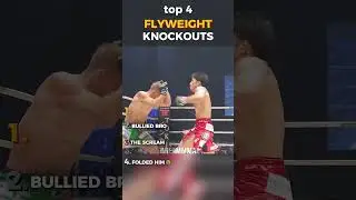 🕊️top 4 FLYWEIGHT knockouts 💥