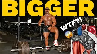 HOW I'm going to get BIGGER | WTF just happened?! | SHEFFIELD 2026??