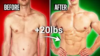 Top 10 Muscle-Building Muscle Building Tips for BEGINNERS