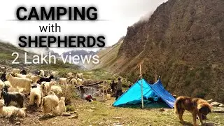 Camping with Shepherd |  Niti valley| India China Border |series1/4