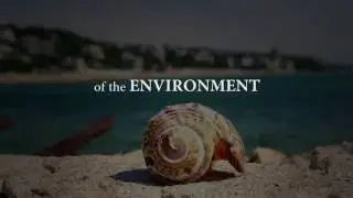 Beach Clean Up 2016 - Bohol, Philippines