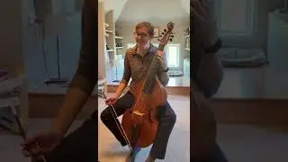 Tuning Frets on a Viola da Gamba