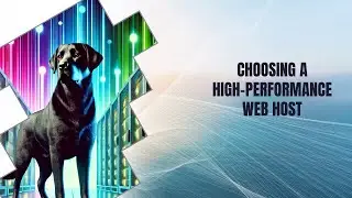 Choosing a High-Performance Web Host: Why FatLab Web Support Stands Out
