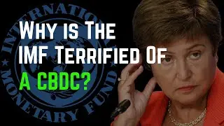 The IMF Is Terrified Of A CBDC, Here's Why!