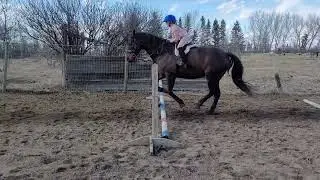 Sadie with 11 year old 4H member