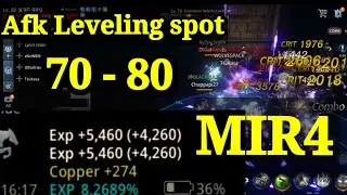 MIR4 level 70 - 80 fast leveling