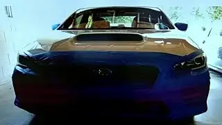 Protecting you car from love bugs