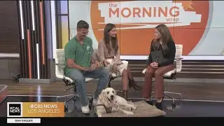 TikTok&rsquo;s viral dog Chilaquil