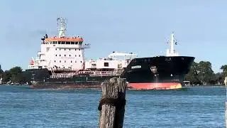 AlgoTitan Tanker Salute 9-4-24
