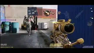 Holding spawns - Shipment