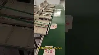 Compact Paper Feeding Machine | Efficient Small Box Production Tool#smallbusiness #feeding #machine