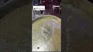 😱 Выращиваем кристалл под музыку Билли Айлиш #шорты