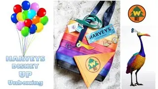 Harveys Disney UP Unboxing