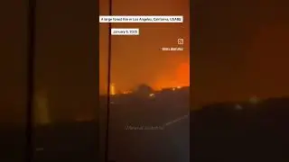 A large forest fire in Los Angeles, California, USA 🇺🇸 #trending #firestarting #outdoorfire #wui