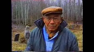 Река Олбани
