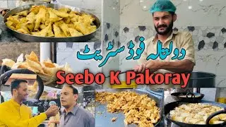 Doltala Food Street || Al Naseeb Pakora And Samosa
