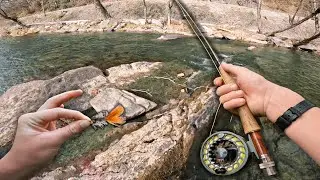 Fly Fishing The SICKEST River In North Carolina! (Trout HEAVEN)