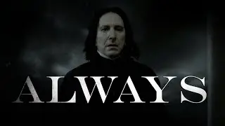 Severus Snape | Always