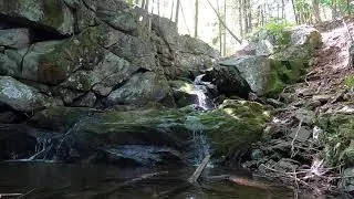 Moment of Zen- Ciaiola Preserve