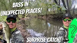 Largemouth Bass were ALL OVER the Zman Micro ChatterBait in this Scenic River of the Hocking Hills