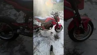 Custom Grom 🔥 #honda #grom #bikelife #bike #bikelover #biker #build #mechanic #motorcycle #fun #diy