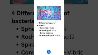 Shapes of Bacteria | Introduction to Cells #neet #neetbiology #neetmcqs