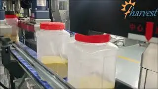 Complete Millet Packaging Line:Automatic Plastic Can Weighing, Filling, Capping with Labeling System
