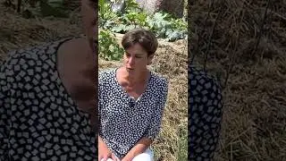T&aacute;panyagban d&uacute;s a kerted talaja? 🌱💧 &Ouml;kol&oacute;giai &aacute;gy&aacute;s egyszerűen