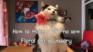 How to make a DIY floral pet accessory