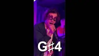 Harry Styles Belting Phrased Bb4s! - Vocal Showcase