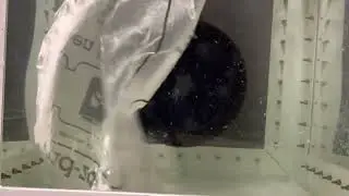 Rim drive motor - Plastic bag