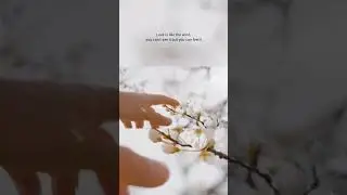 Motivational Quote💓.#motivation ,#love ,#shortvideo ,#shorts