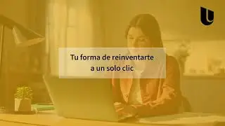 14 carreras online UIDE
