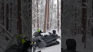 Snowmobile ride through the North Woods of land O lakes Wisconsin. #snowmobile #northwoods #snow