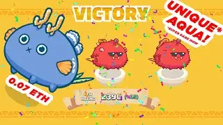 UNIQUE* AQUA | Double Bug Pocky vs Beast Reptile Plant | ABB Team | Axie Infinity
