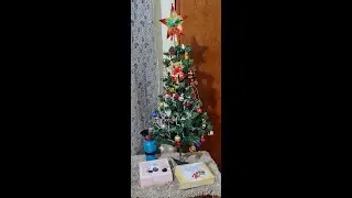 Gift Ideas for Pet Parents