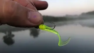 🔥 Rigged Twirl Tails Fishing 🔥