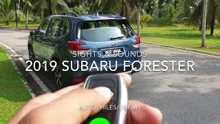2019 Subaru Forester | Sights & Sounds