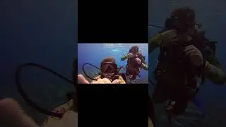Key Largo scuba diving with &ldquo;Silent world dive center&rdquo;