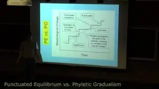 Punctuated Equilibrium vs. Phyletic Gradualism (long version)