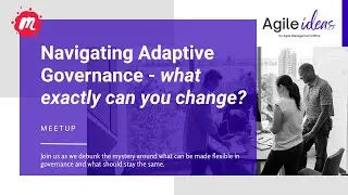 Navigating Adaptive Governance Flags Unveiled - Meetup 5th February 2024